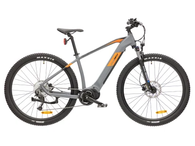 Mountain bike elettrica da 29 pollici con motore CENTRALE da 36 V 250 W