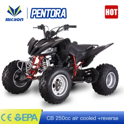 Quad da corsa ATV sportivo da 250 cc